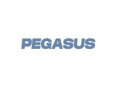 pegasus